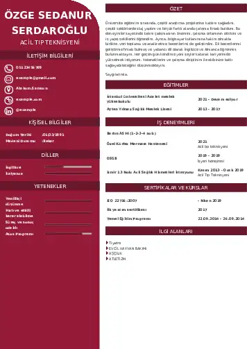 Acil Tıp Teknisyeni CV Örnekleri cv indir